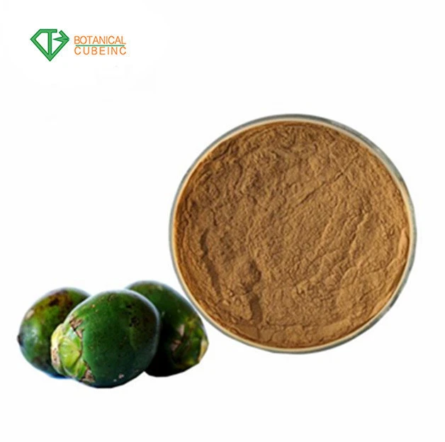 Wholesale price Areca catechu betel nut Extract Powder by free shipping 10:1