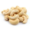 Wholesale Price Cashew Nut W210 From India