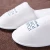 Import Wholesale White Hotel Disposable Flight Slippers from China