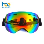 Wholesale Winter Outdoor Sports Ski Eyewear Ski Glasses