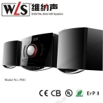 WLS 2.0CH hifi speakers combo PM1 with VCD CD player for consumer electronic market