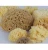 Import Wool Bath Sponges - Natural Sea Beauty Sponge - Skin Care Bathroom Accessory ideal for Adults and Babies from Greece