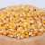 Import Yellow Corn - Animal Feed from India