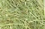 Import Orchard Hay - Orchard Grass Hay from USA