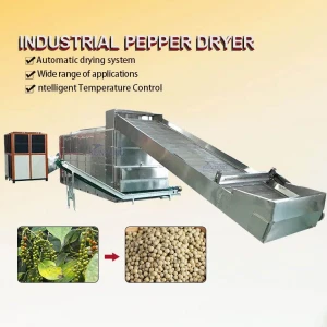 Automatic Spices Dryer Machine Green Pepper Black Peppercorn Chili Dehydrator Drying Processing Equipment EPC