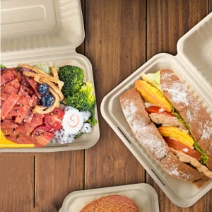 Green Food Grade Eco-Friendly Biodegradable Disposable Bagasse Lunch Boxes Clamshell Take-Out Container (500/CS)