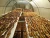 Import Soft Dried Sweet Banana Chips | Natural Chewy Dried Banana Snack From Vietnam | Bulk Vacuum Pack Supplier from Vietnam