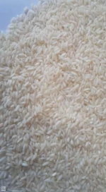 sona masoori organic non basmati rice