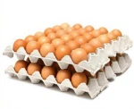 fresh eggs for table