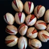 Iranian jumbo pistachio