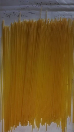 100% Durum Wheat Quality Pasta Spaghetti Pasta