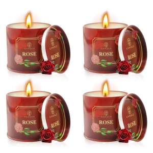 Wholesale 4-Pack Natural Soy Wax Scented Jar Candles – Extra Long Burn Time Aromatherapy Gift Set for Mother's Day, Bir