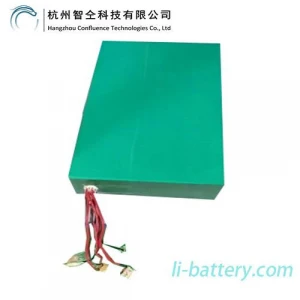 Customized Deep Cycle 60V 25Ah Lithium Ion Battery for E-bike