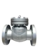 Check Valve (Swing/Flap/Vertical Lift)