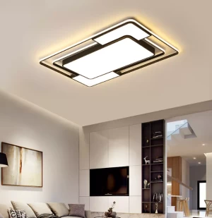 Living Room Bedroom Study Home Remote Control Dimmable Black Modern LED Ceiling Lighting