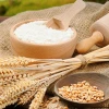 High Protein Wheat Flour Fresh Bulk Supply Wheat Flour Perfect For Baking Bread Pastries And Snacks