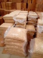 Premium Raw & Processed Cashew Nuts