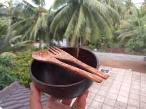 Bát gỗ dừa tự nhiên