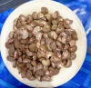 Areca Nut (Betel Nut) Indo Fali