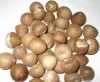 Dried Betel Nuts Dried Areca Nut