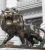 Import HSBC Cast Bronze Lion Sculpture Cast Bronze Animal Statue Supports Customization from China