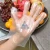 Import Food Handling Disposable Plastic HDPE PE Glove for Kitchen from China