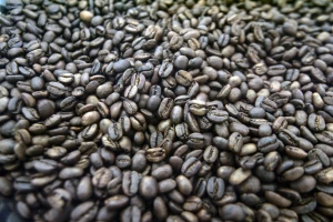 Aceh Indonesia Arabica Coffee Beans