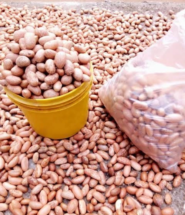 Buy Bitter Kola from Evettraw foods, Nigeria