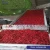 Import Industrial Fruit Dryer Equipment Heat Pump Fruit Dehydrator Jujube Passion Fruit Dragon Fruit Palm Kernel Drying Machine from China