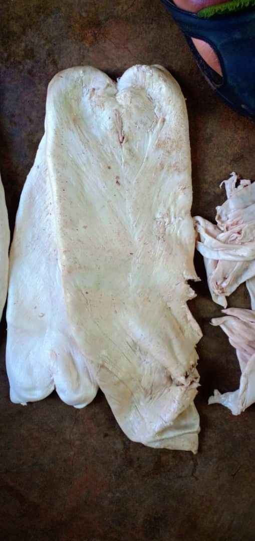 Buy Fish Maw From Anchor Fisheries Ltd Tanzania Tradewheel