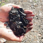 Coconut Shell Charcoal