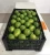 Import Fresh Limes from Brazil