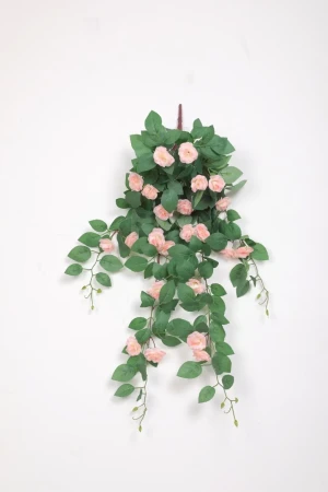 French Rose