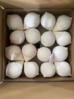 Premium Fresh Coconuts – 100% Natural Vietnamese Young Coconut Water Export Supplier