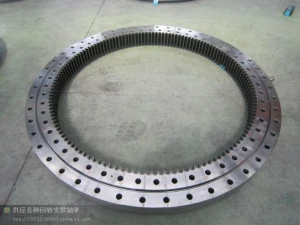 China Factory Supply RKS.062.20.1094 Slewing Bearing 1166*984*56mm