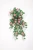 Import French Rose from China