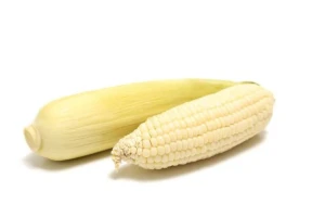 Pure Non-GMO White Corn – Bulk Bags & Jumbo Packaging Available