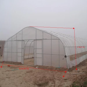 cheap agricultural film Tunnel Plastic greenhouse Galvanized Steel Framework greenhouse