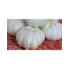 Cheap price Fresh Garlic ideal for supermarkets restaurants and wholesalers