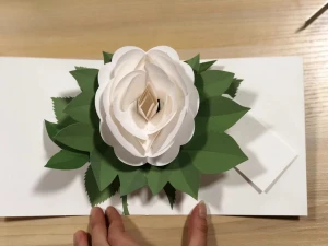 Pop Up Card, Greeting Cards