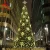 Import Outdoor Lighting Waterproof 3D Christmas Tree With LED Light from China
