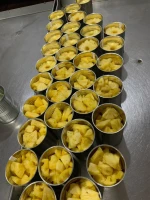 Canned Pineapple Pieces in Light Syrup