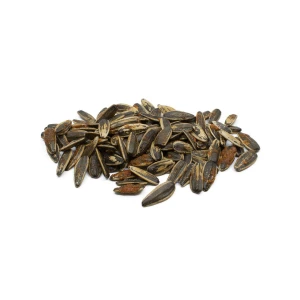 Bulk Dried Sunflower Seed Export Sunflower Seed Top Selection Fresh Packed For Immediate Shipment And Sale