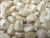 Import Dried white and yellow corn / Maize from South Africa