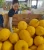 Import Fresh lemon from our own farm in Chongqing China from China