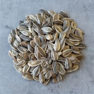 Best Grade Sunflower Seeds in Affordable Price