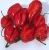 Import Fresh Habanero Pepper from South Africa