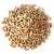 Import Bulk Dried Sunflower Seed Export Sunflower Seed Top Selection Fresh Packed For Immediate Shipment And Sale from South Africa