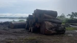 UNDERWATER LOGS