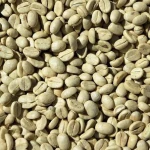 Best Selling High Quality Wholebeans Green Coffee Beans Robusta Clean for Coffee Lovers at Wholesale Price